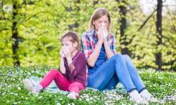 Причины и проявления сезонной аллергии