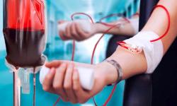 Первые опыты переливания крови