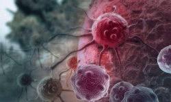 Какие особенности характерны для раковых клеток?