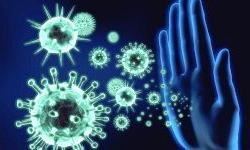 Вирусные инфекции и старение организма