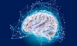 Использование виртуальной модели мозга в хирургии