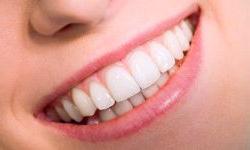 Можно ли отрастить коренные зубы?