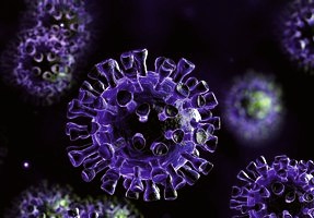 актуальные аспекты профилактики, диагностики и лечения новой коронавирусной инфекции (covid-19) (во)