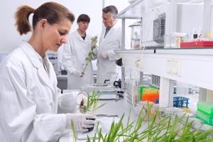контроль качества биотехнологического производства препаратов для растениеводства