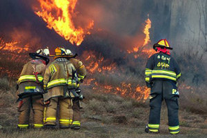 меры пожарной безопасности для руководителей организаций, лиц, назначенных руководителем организации, индивидуальным предпринимателем ответственными за обеспечение пожарной безопасности, в том числе на объектах защиты, в которых могут одновременно находиться 50 и более человек