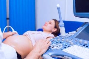 современные аспекты ультразвуковой диагностики беременных женщин